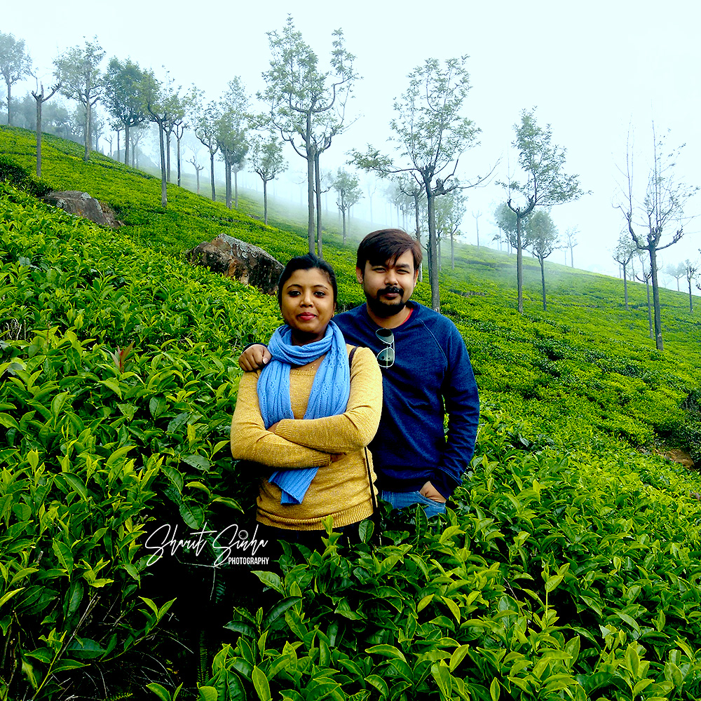 Tea-estates, Coonoor
