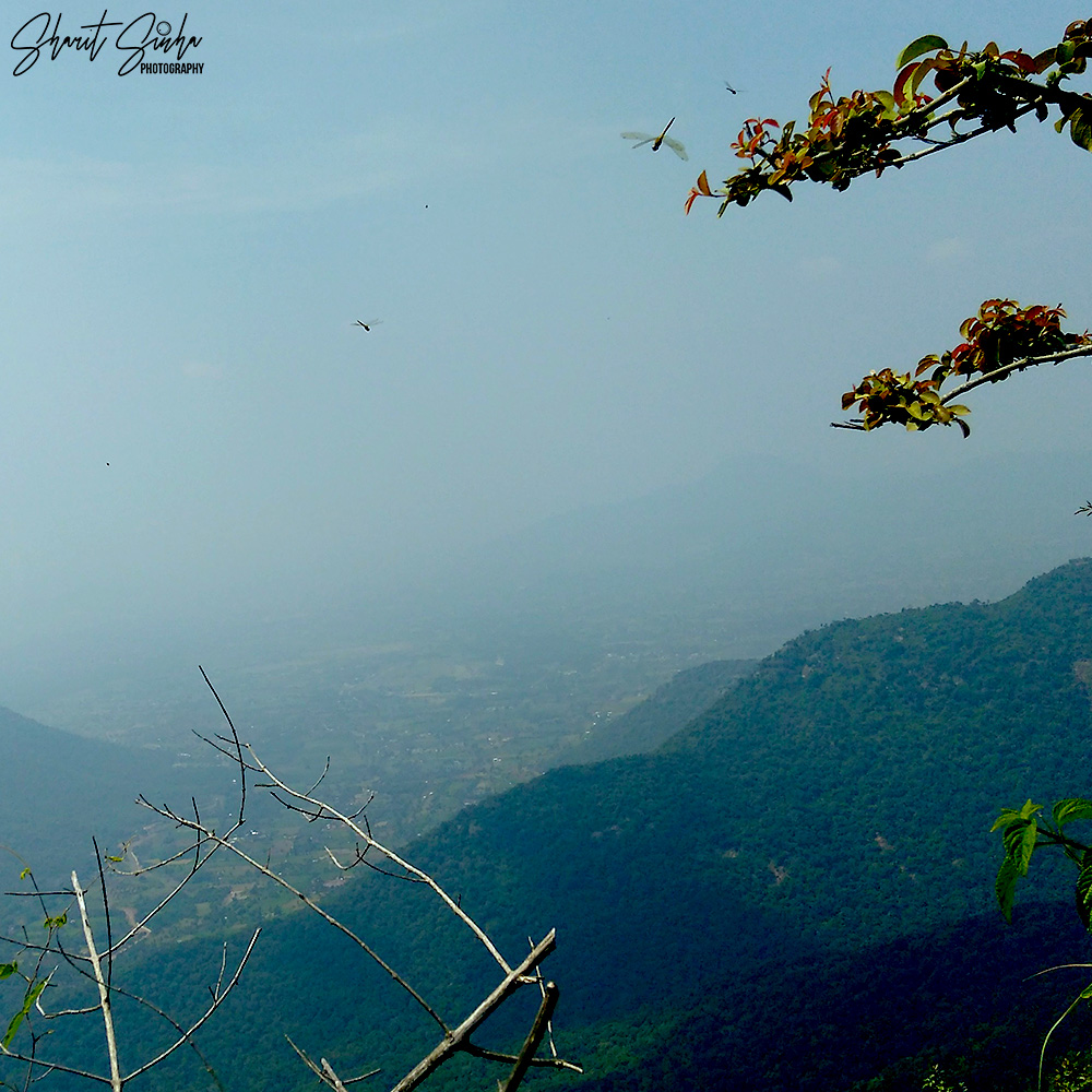 View from Karadiyur Viewpoint