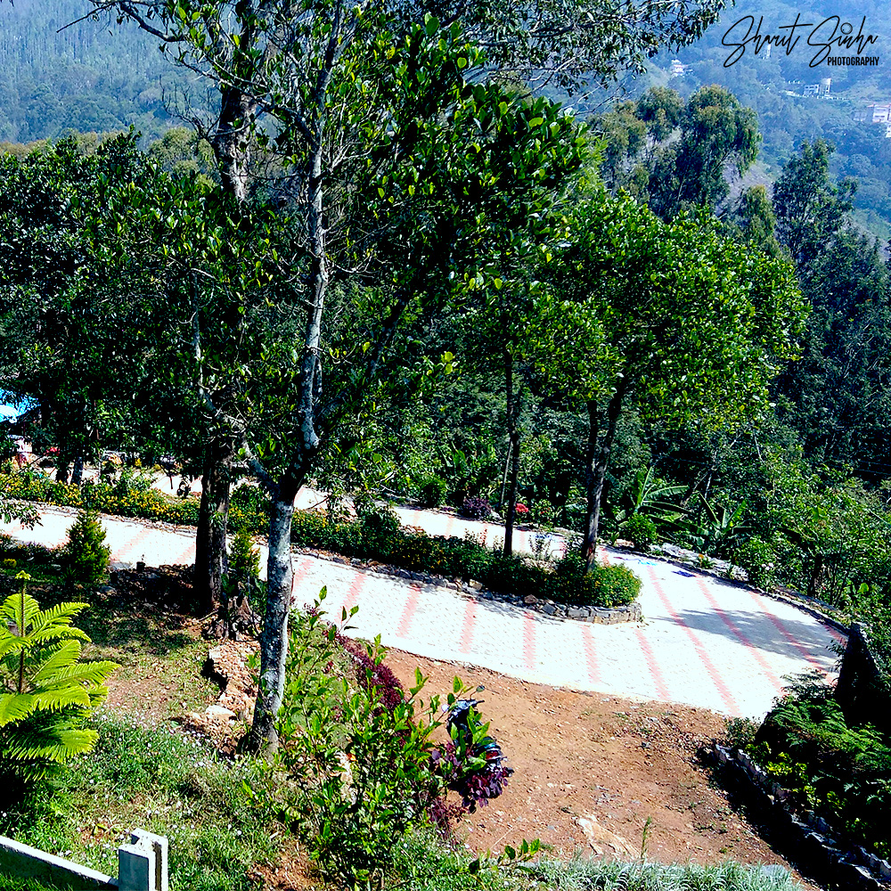 Fernhill Cottage driveway, Yercaud
